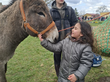 595c44b0-292c-48b6-b8f2-93d71f352588