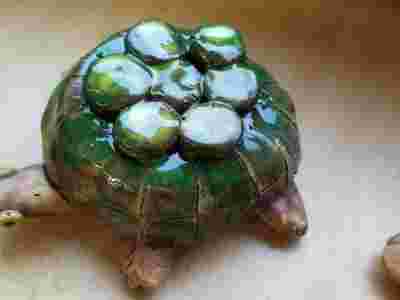 IMG-20230207-WA0023