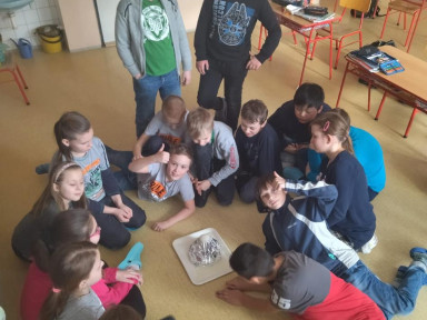 thumbnail_Image_bvypaXz