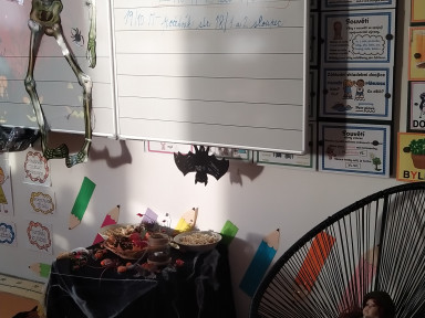 IMG_20231024_081534_1