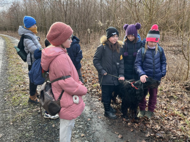 4639ef5b-b29d-4ce8-8b49-9d3a23c23bc6