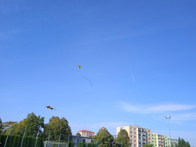 IMG_20231012_111356_1