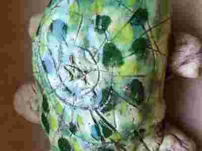 IMG-20230207-WA0021