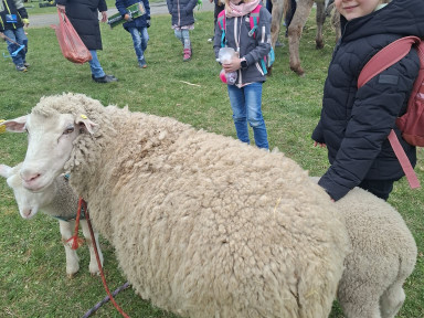 e047be55-b858-4ed8-9067-b298b46f0f83