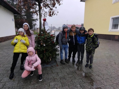 318315136_554631559431002_4660732273955842939_n