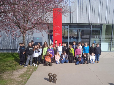 IMG_20240320_124644_1