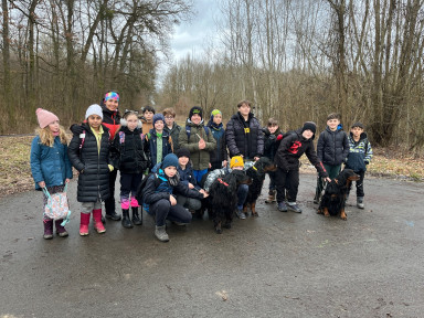 d7380406-767f-45db-ab2a-bdf0cf03b5c0