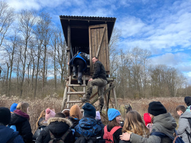 82a2eaa8-8d77-4713-88d4-70ed8a5295dc