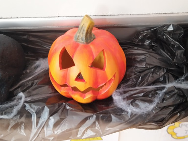 IMG_20231024_083804_1