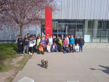 IMG_20240320_124644_1