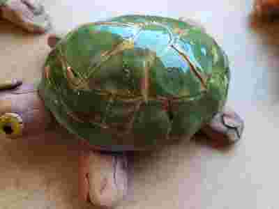 IMG-20230207-WA0028
