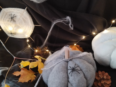 IMG_20231024_081645_1