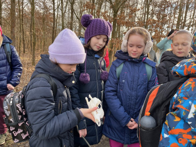 a3155dcb-6ce7-4de0-a1c7-2148f1e1cdf1