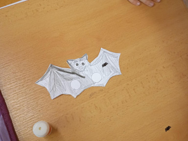 IMG_20221031_092241_1