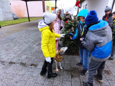 319132845_870718897615050_3134231759958525717_n