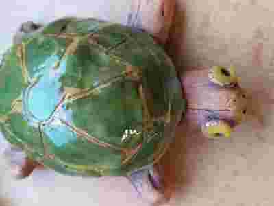 IMG-20230207-WA0019