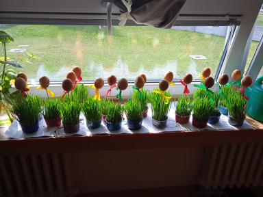 IMG_20230330_112748_1