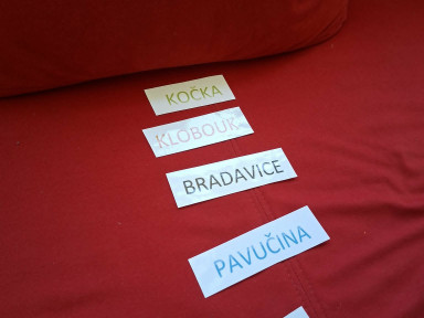 d34ec893-444c-4e11-87f0-62e9a375edb2