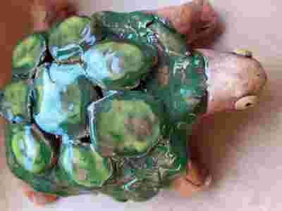 IMG-20230207-WA0020