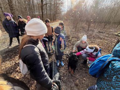 086c3738-ffae-40ee-a8d4-0c49beccd8a1