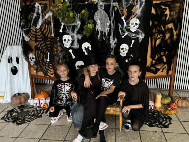 462547436_899555788453088_5867165927555271777_n